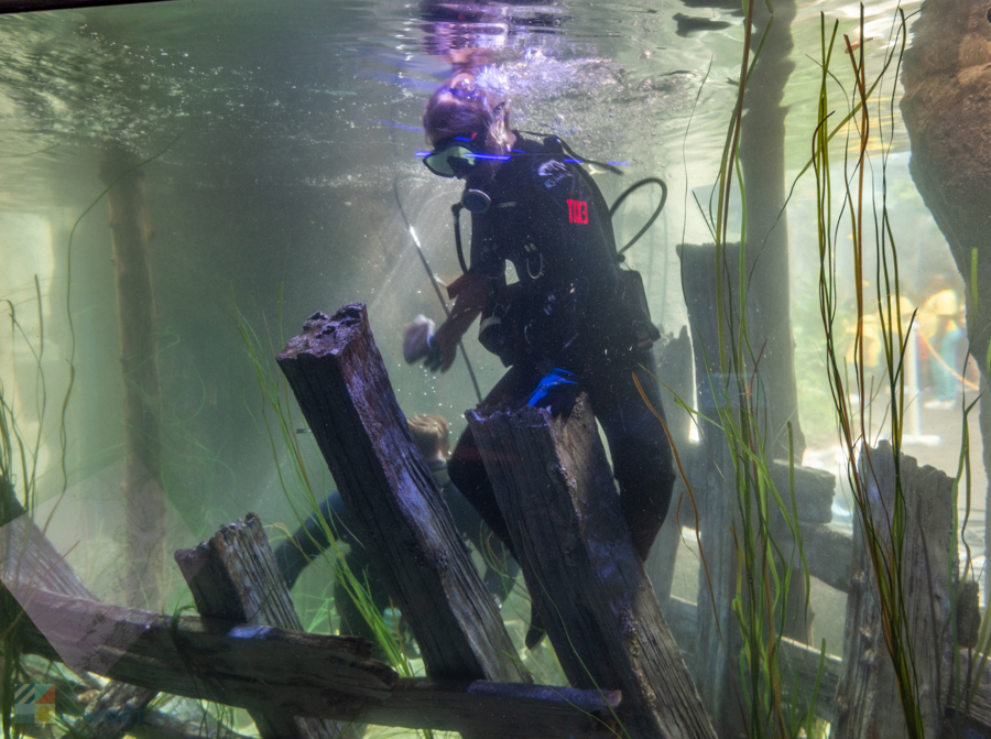 NC Aquarium on Roanoke Island