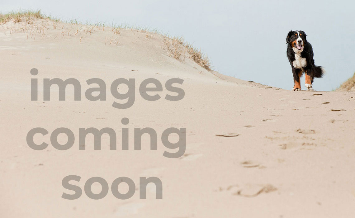 K9047 Metamorphoseas 12 Bedroom Home in ...