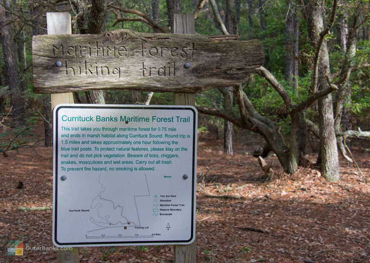 Currituck Banks Coastal Estuarine Reserve