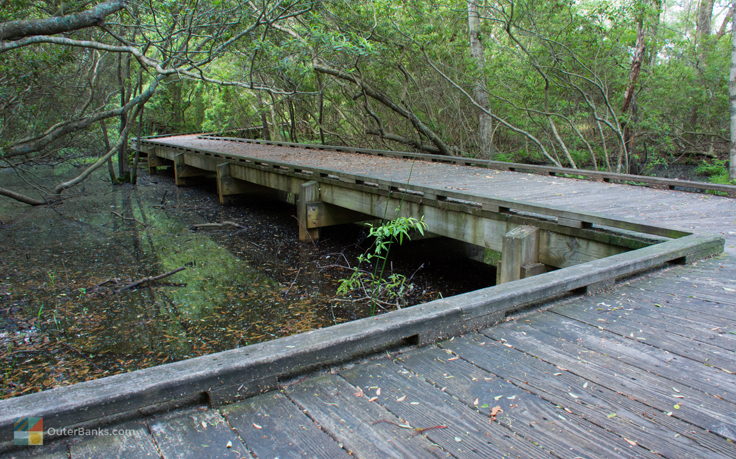 Currituck National Wildlife Refuge platform walkway