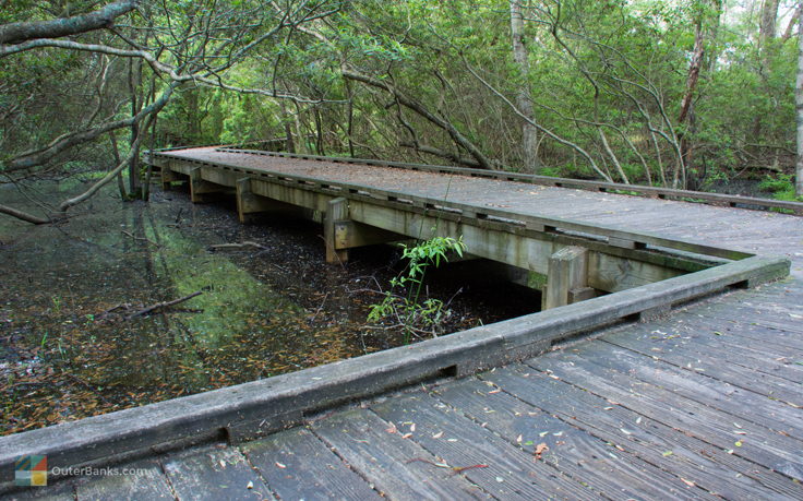 Currituck Banks Coastal Estuarine Reserve