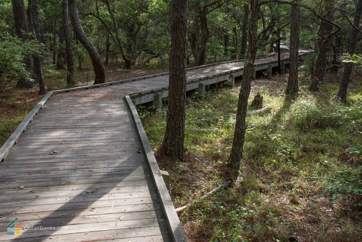 Currituck Banks Coastal Estuarine Reserve