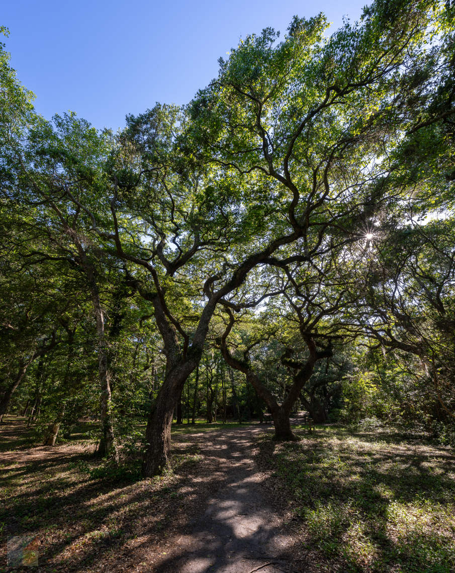 Fort Raleigh