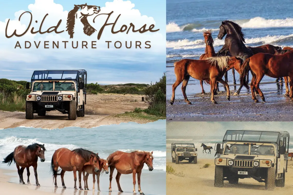 Wild Horse Adventure Tours
