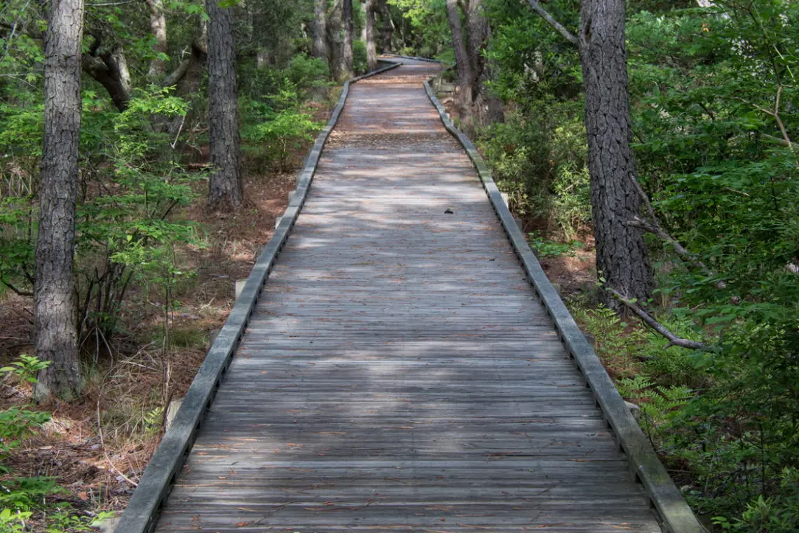 Currituck Banks Coastal Estuarine Reserve