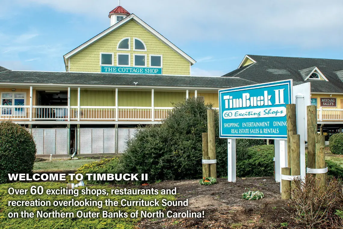 Timbuck II
