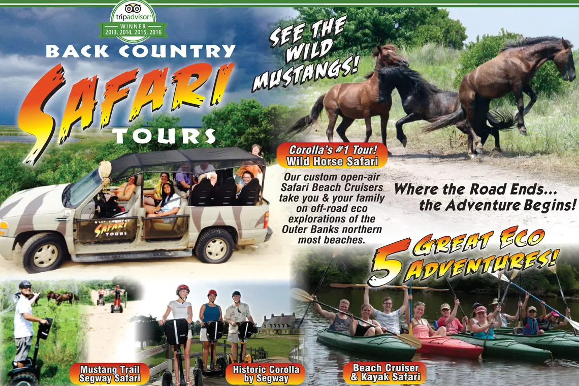 Back Country Safari Tours
