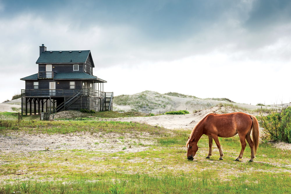 Currituck County Tourism - 4x4 beach homes with a view of wild Spanish Mustangs