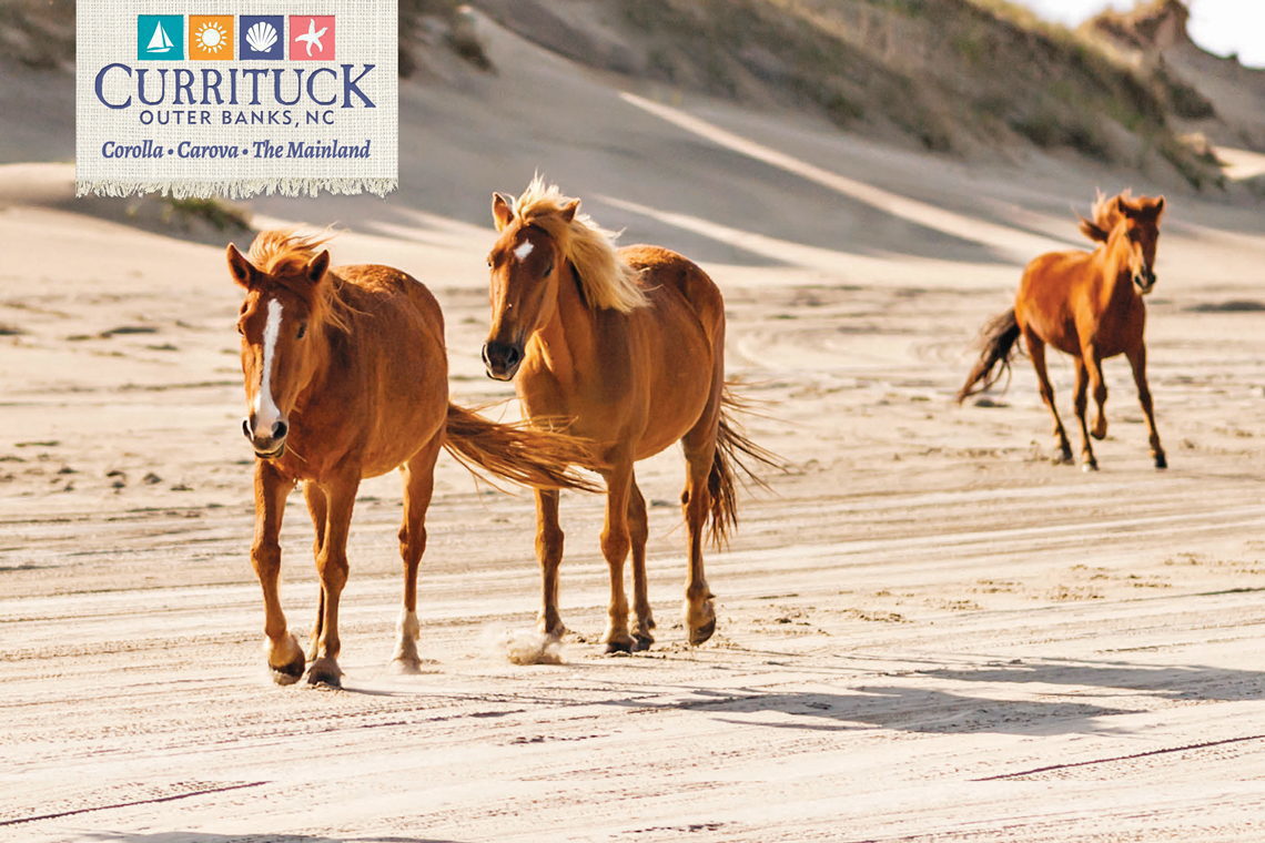 Currituck County Tourism
