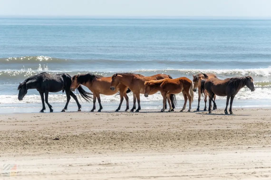 About Us - Currituck.com