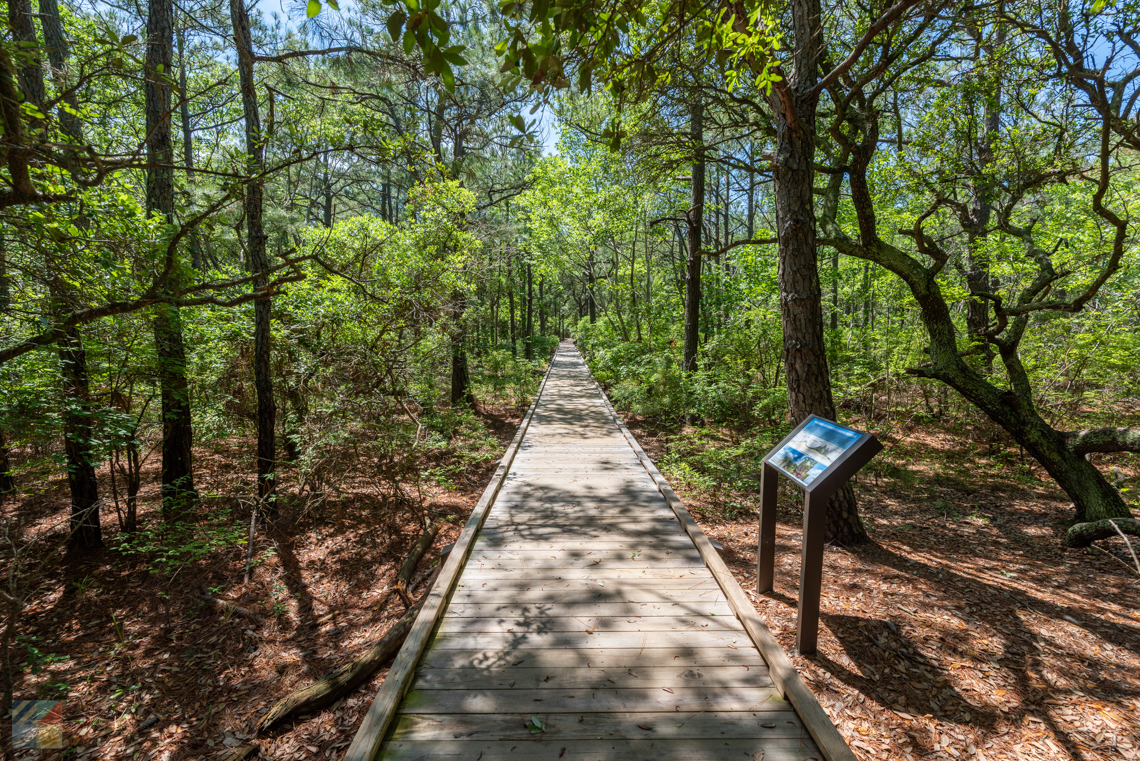 Currituck Estuarine Reserve