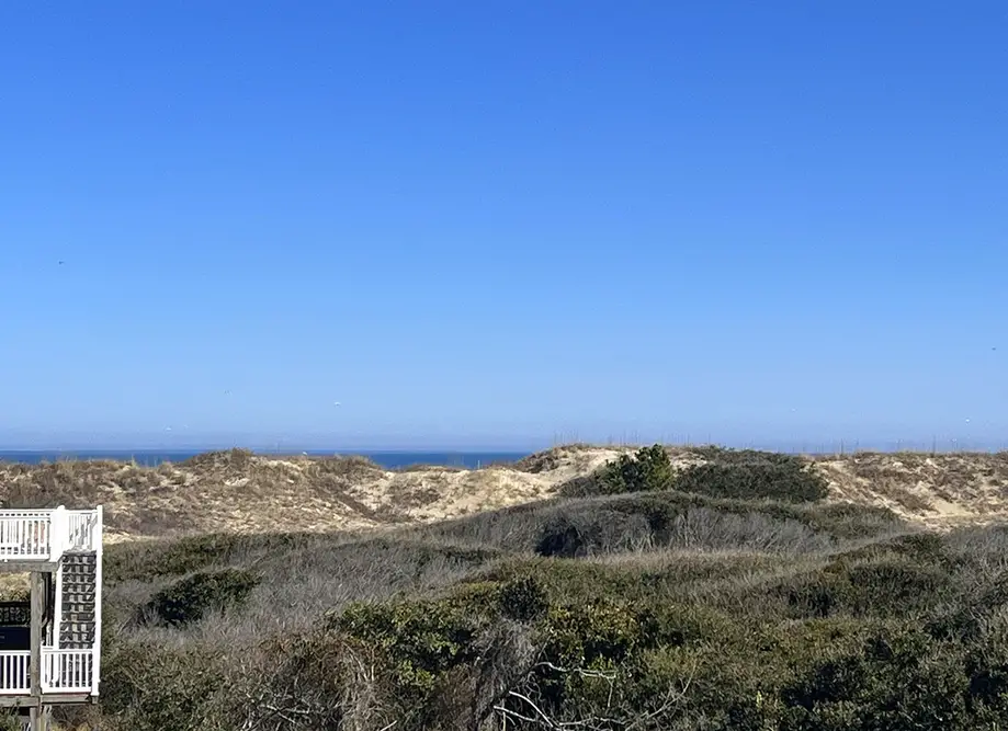 A SEA-NIC ESCAPE