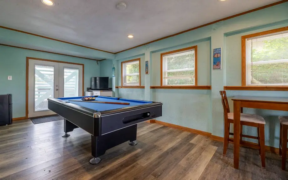 Time to Paws & Reflect