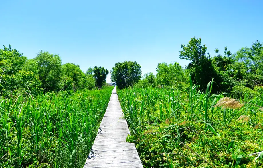 1562 - Coucher Du Soleil