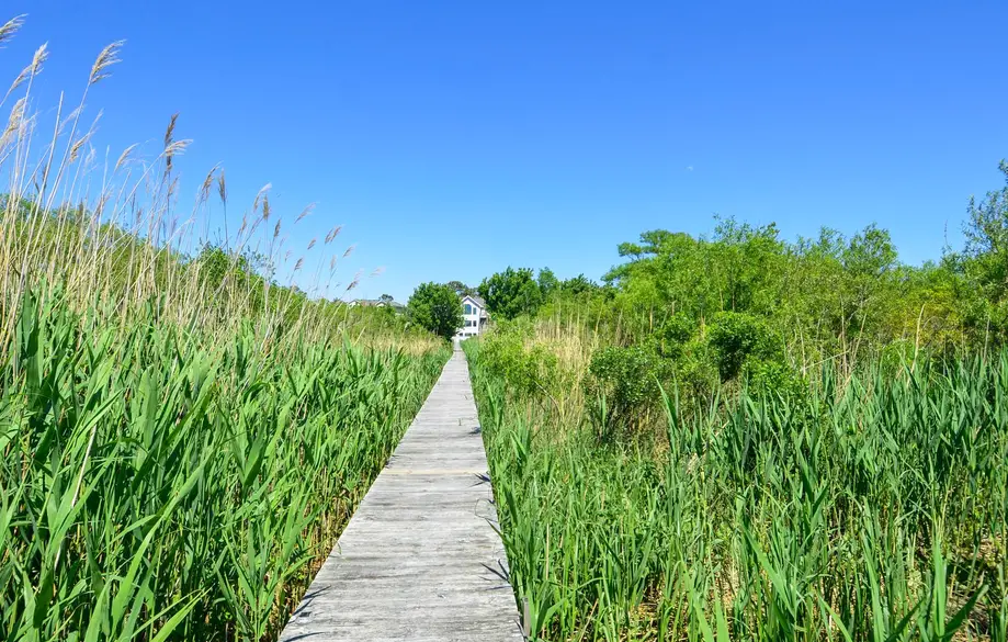 1562 - Coucher Du Soleil