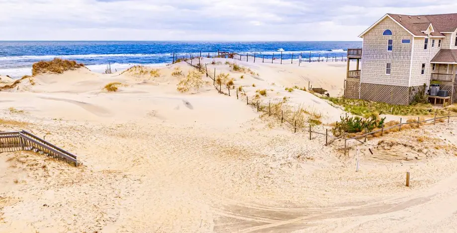 The Salty Sand Dollar