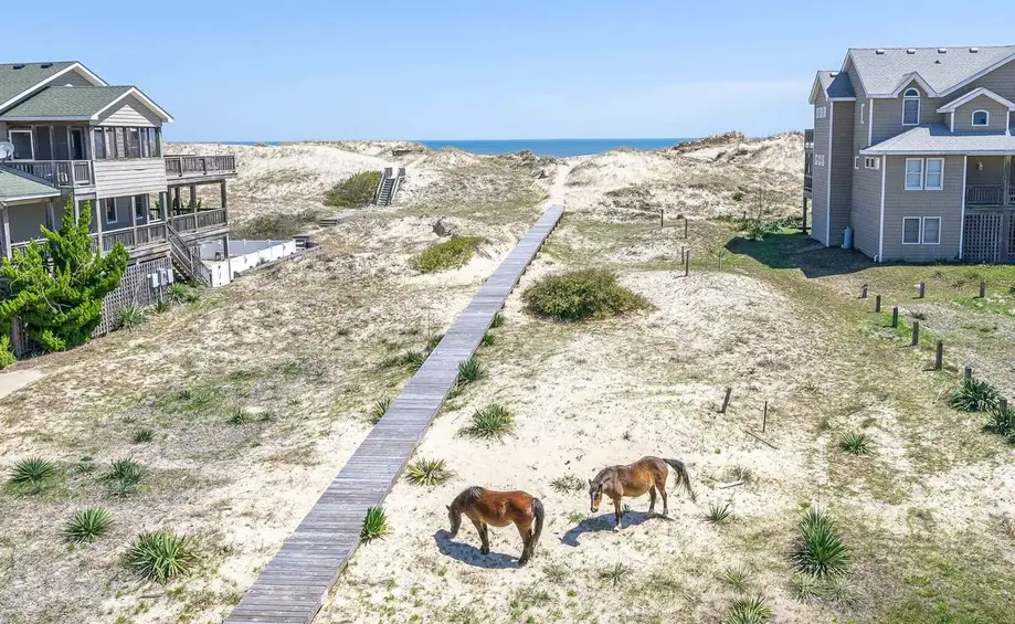 Cavallo Dunes